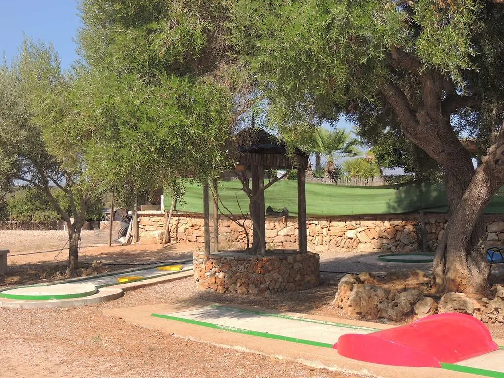 Can Ignasi Villa Can Picafort   Can Picafort (Mallorca)